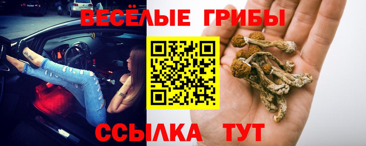 Галлюциногенные грибы Cubensis  Вход с VPN  закладки  Сегежа 
